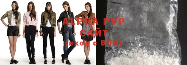 спиды Вяземский