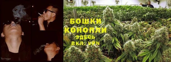 спайс Вязьма