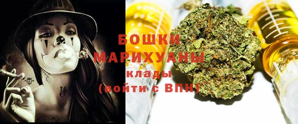 спиды Вяземский