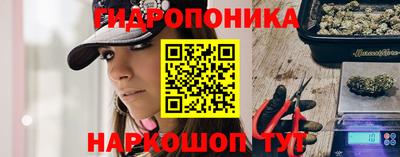 индика Волжский