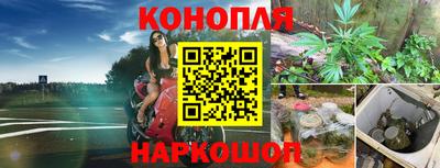 Альфа ПВП Волжск