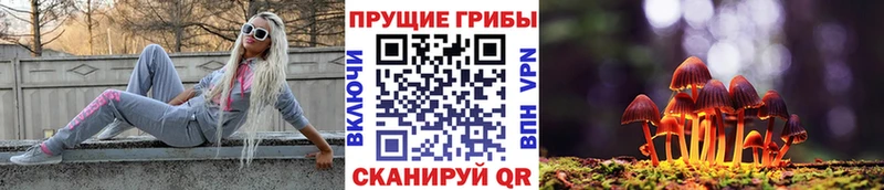 ссылка на мегу   Гай  Псилоцибиновые грибы мухоморы  купить  