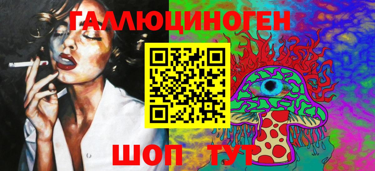 Псилоцибиновые грибы Psilocybine cubensis  Гай 