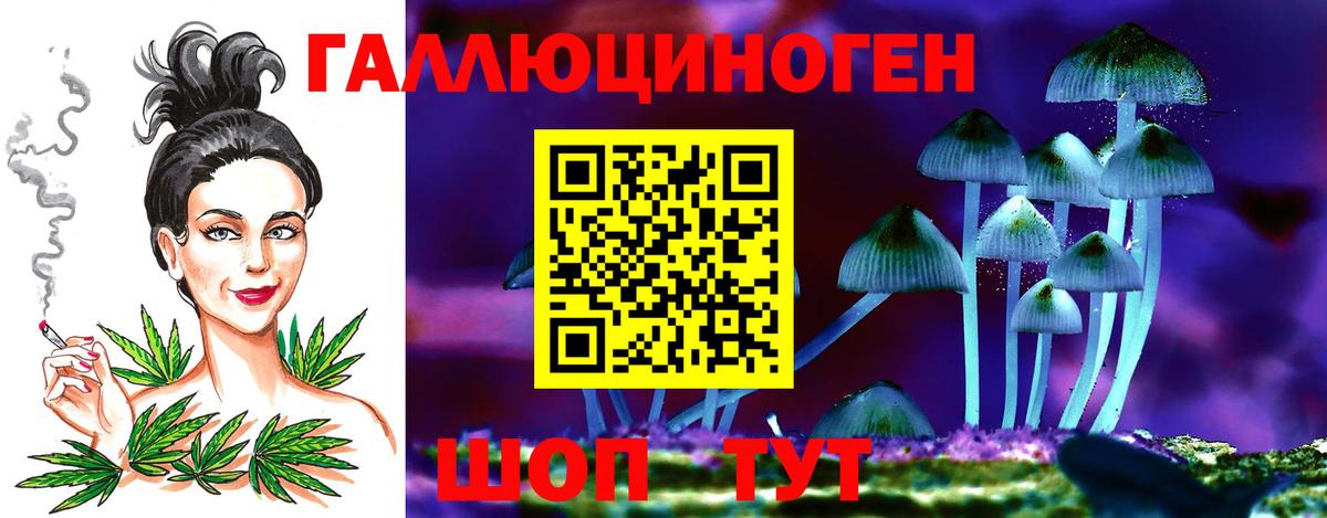 Гай  Псилоцибиновые грибы прущие грибы  где продают наркотики  Галлюциногенные грибы Psilocybe  Вход с VPN 